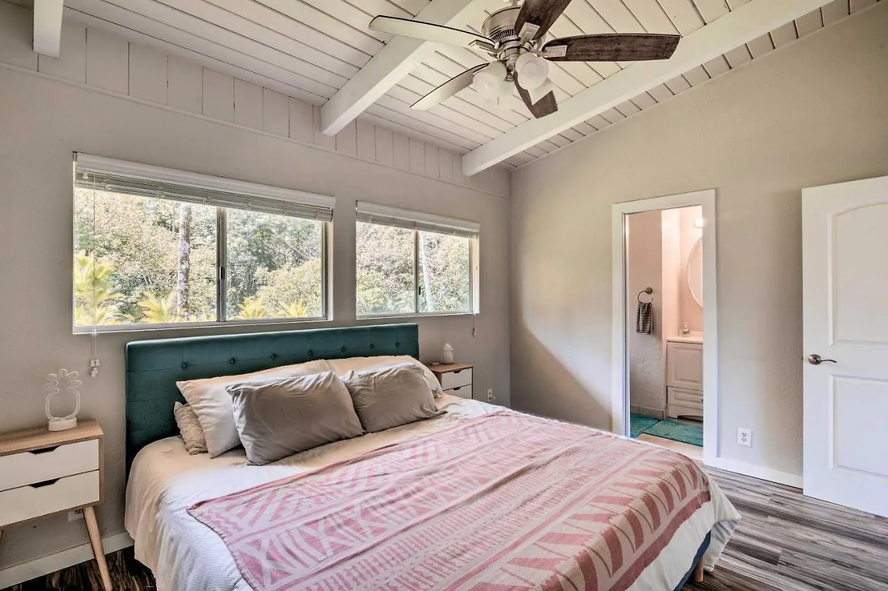 Villa Sunny Pahoa Retreat Snorkel, Hike And Shop!