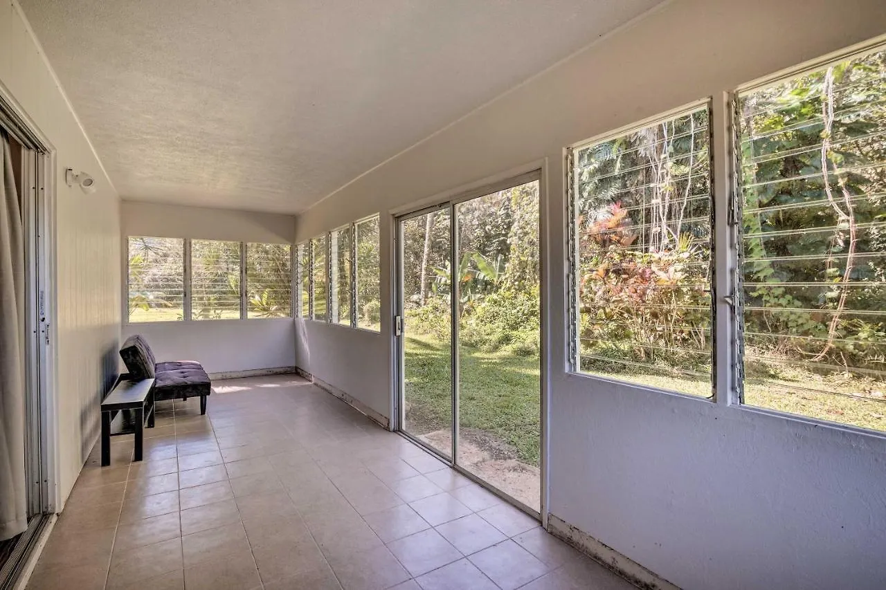 Villa Sunny Pahoa Retreat Snorkel, Hike And Shop!